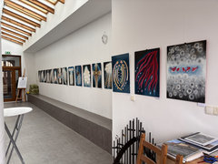 2026 - Via Crucis a Via Lucis